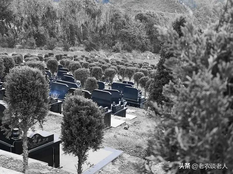 清明追思：让爱与自然同呼吸

清明又至，雨丝纷纷。往年此时，人们提着纸钱香烛，穿