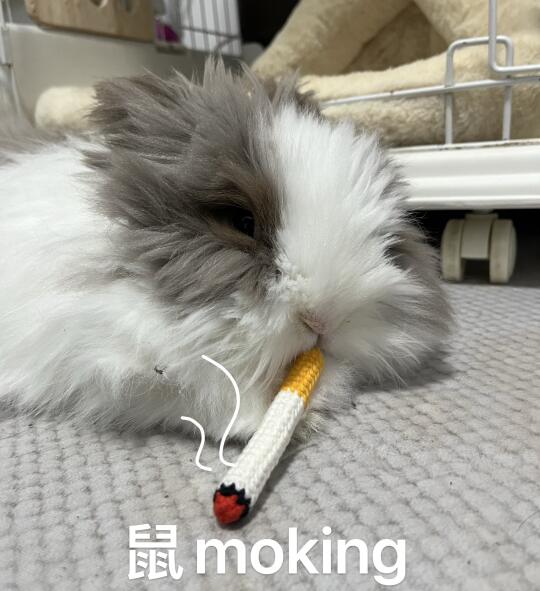 她私下就是烟酒都来的啦