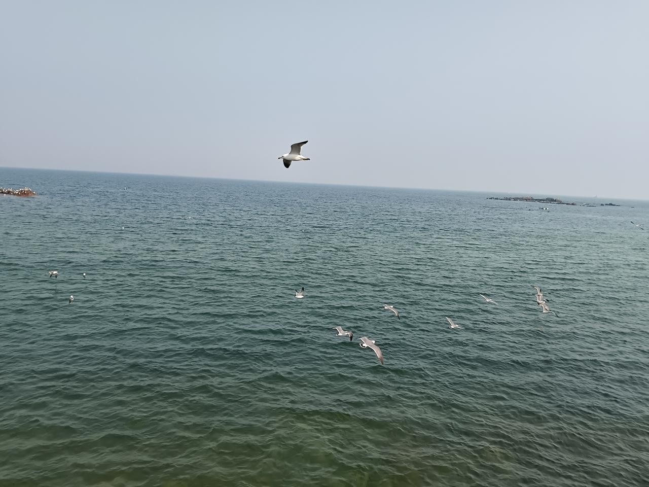 频繁记录生活

对自己都有什么变化？

大概就是

我好像在和内心的自己对话
