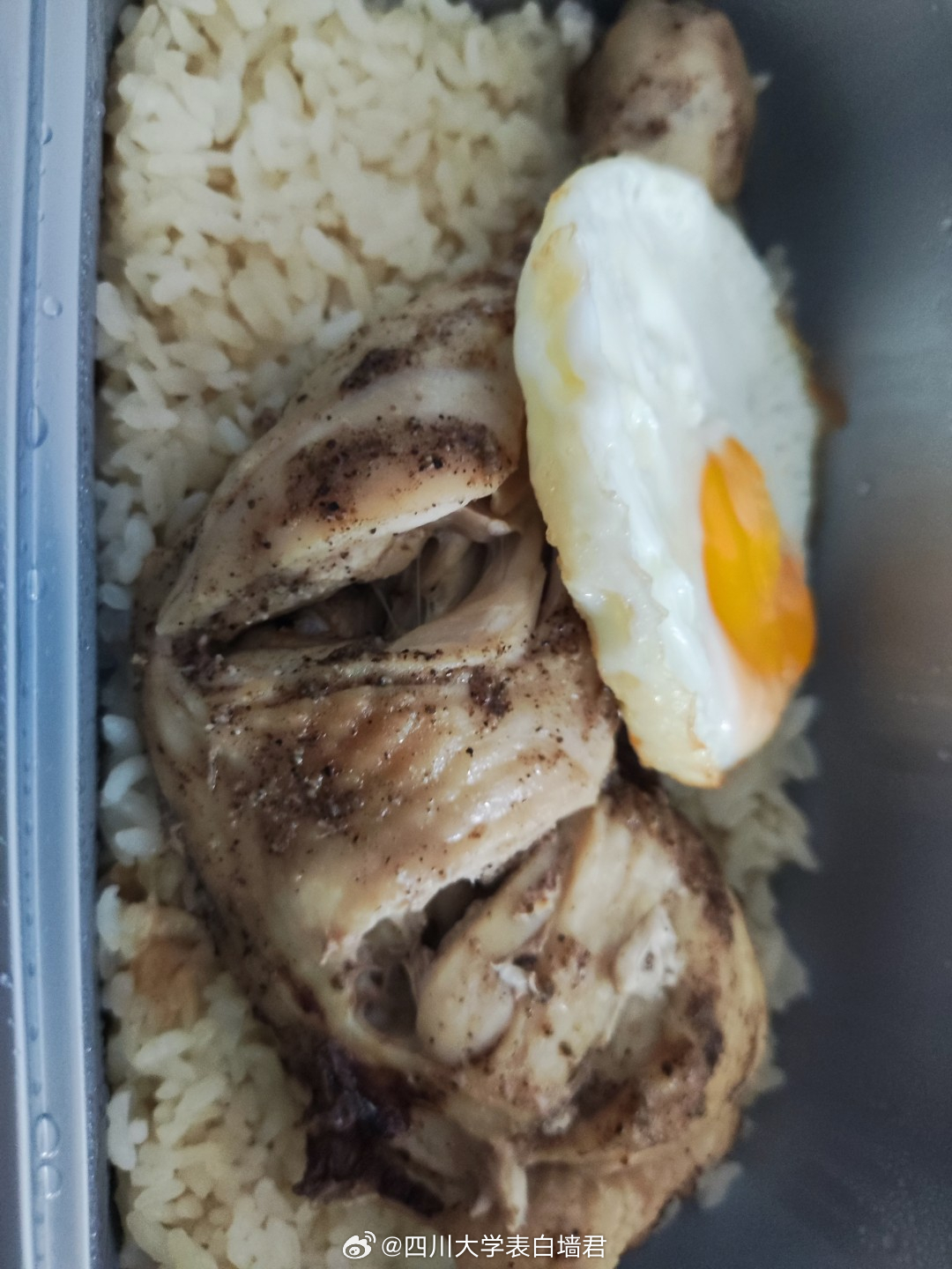 【捞鸡油饭】四川大学表白墙君海底捞人四川大学表白墙君今日份求助四川大学表白墙君今