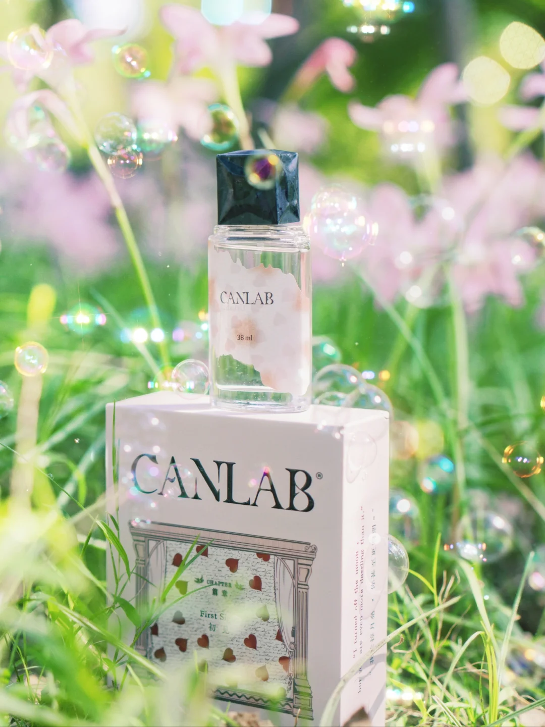 🌸｜初见时 怦然心动的芬芳