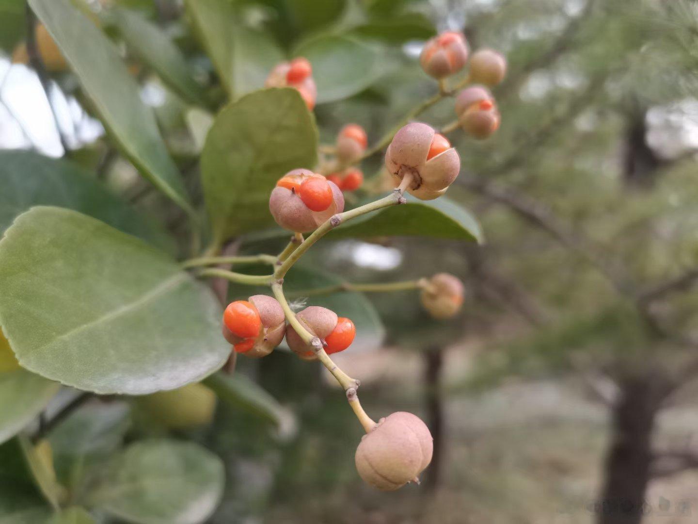 #深夜树洞##人生感悟# 那些看着光鲜亮丽的东西，也未必是如你想的那样，谁的现实