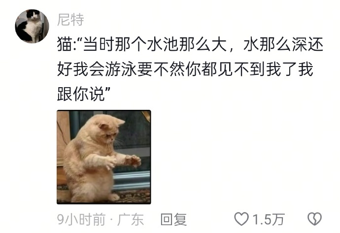 猫咪的冒险：从水池边缘到自由之海，它那惊心动魄的自救之旅。 ​​​