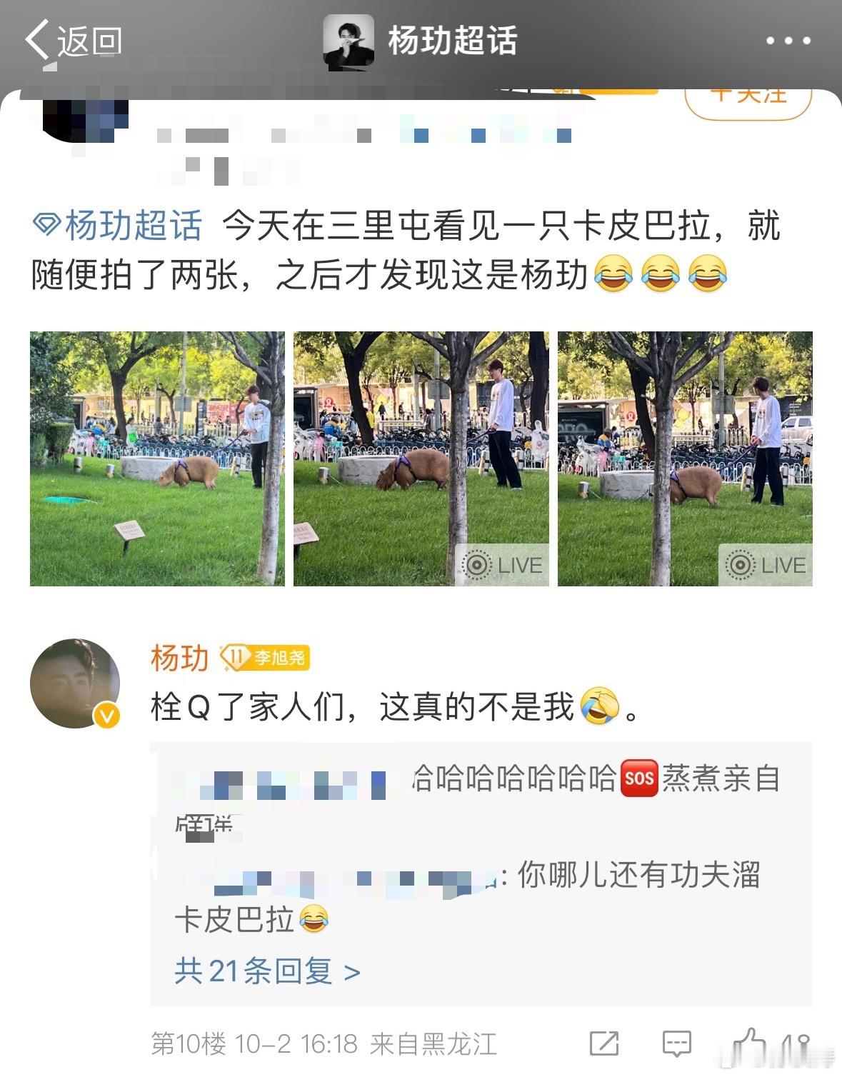 #杨玏 情绪淡人和情绪稳定的动物#笑崩了，之前有网友说偶遇到杨玏街边遛卡皮巴拉，