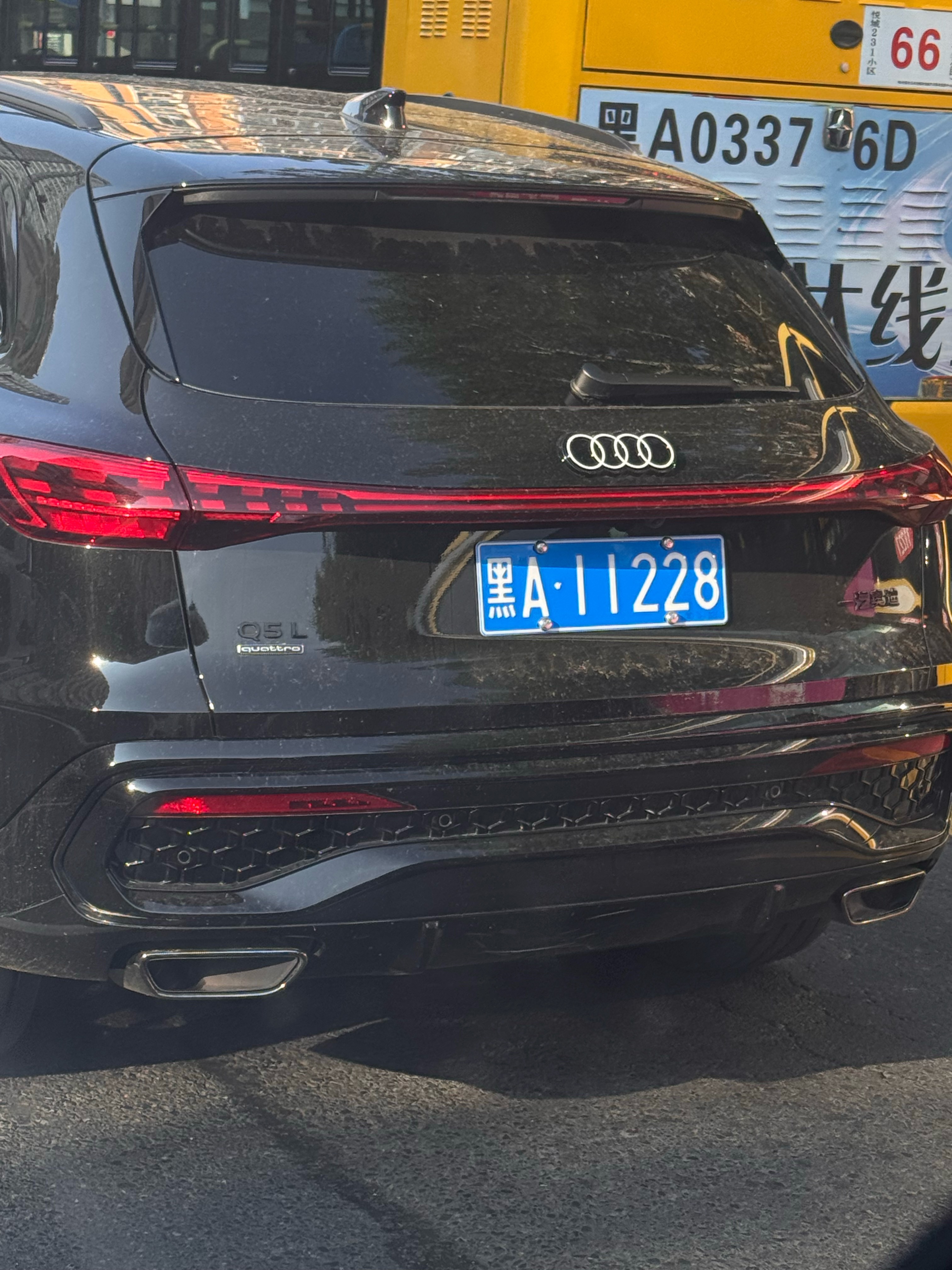 又双叒就不能给我吗？ 