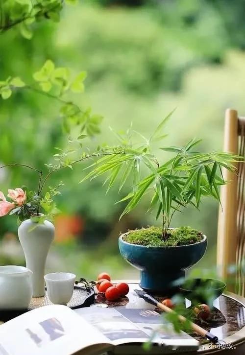 善良有尺，忍让有度。

《三字经》开篇即是六个字：“人之初，性本善。”

马克·