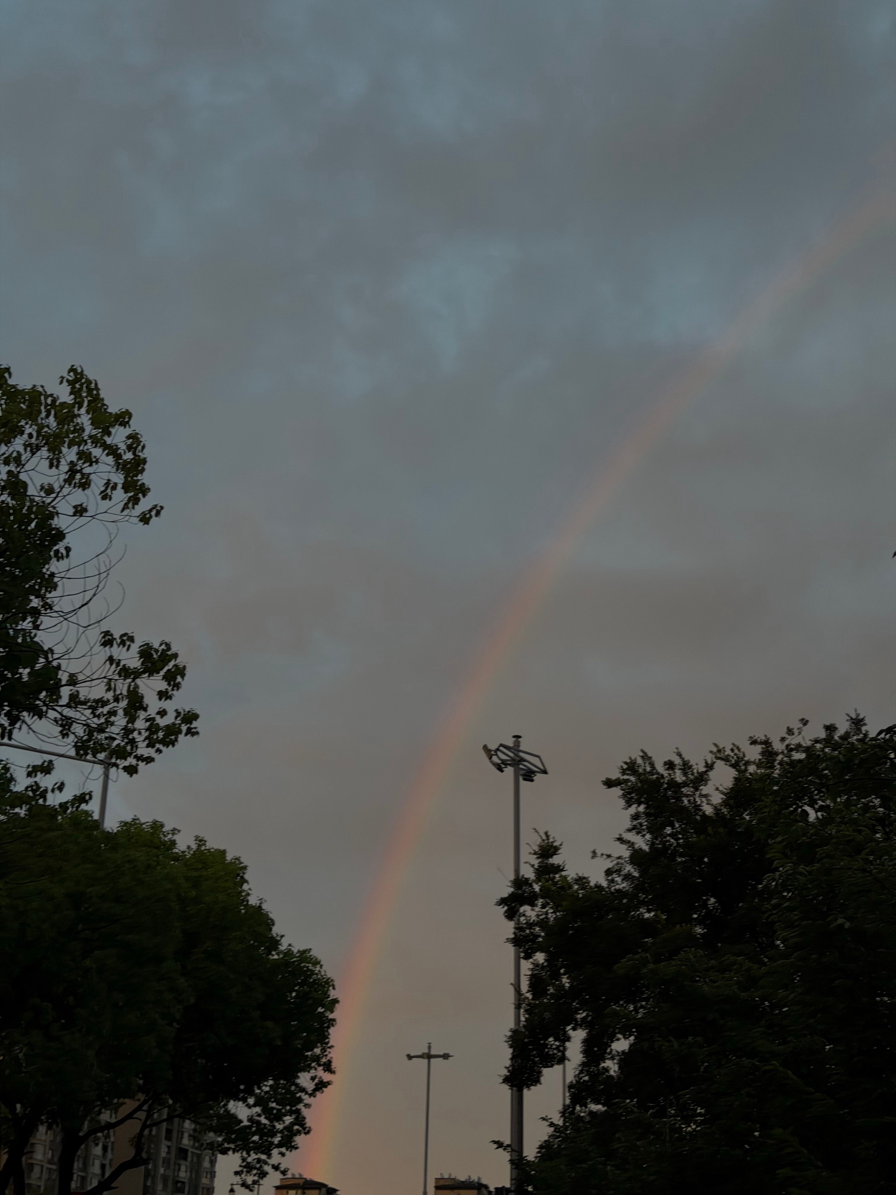雨后彩虹🌈 