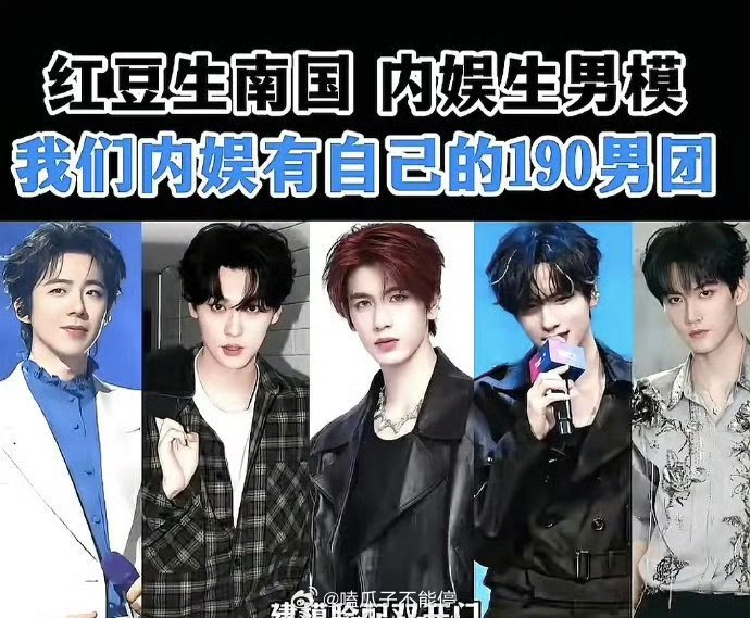 这是内娱真190男团👍🏻 