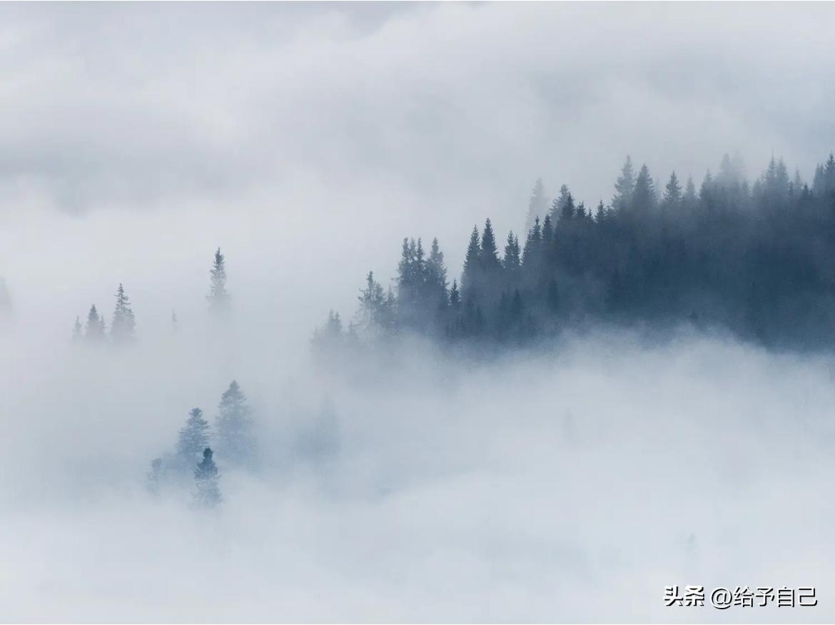 快来看看我新换的主页背景吧