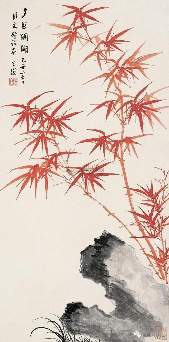 分享手机里的随手拍