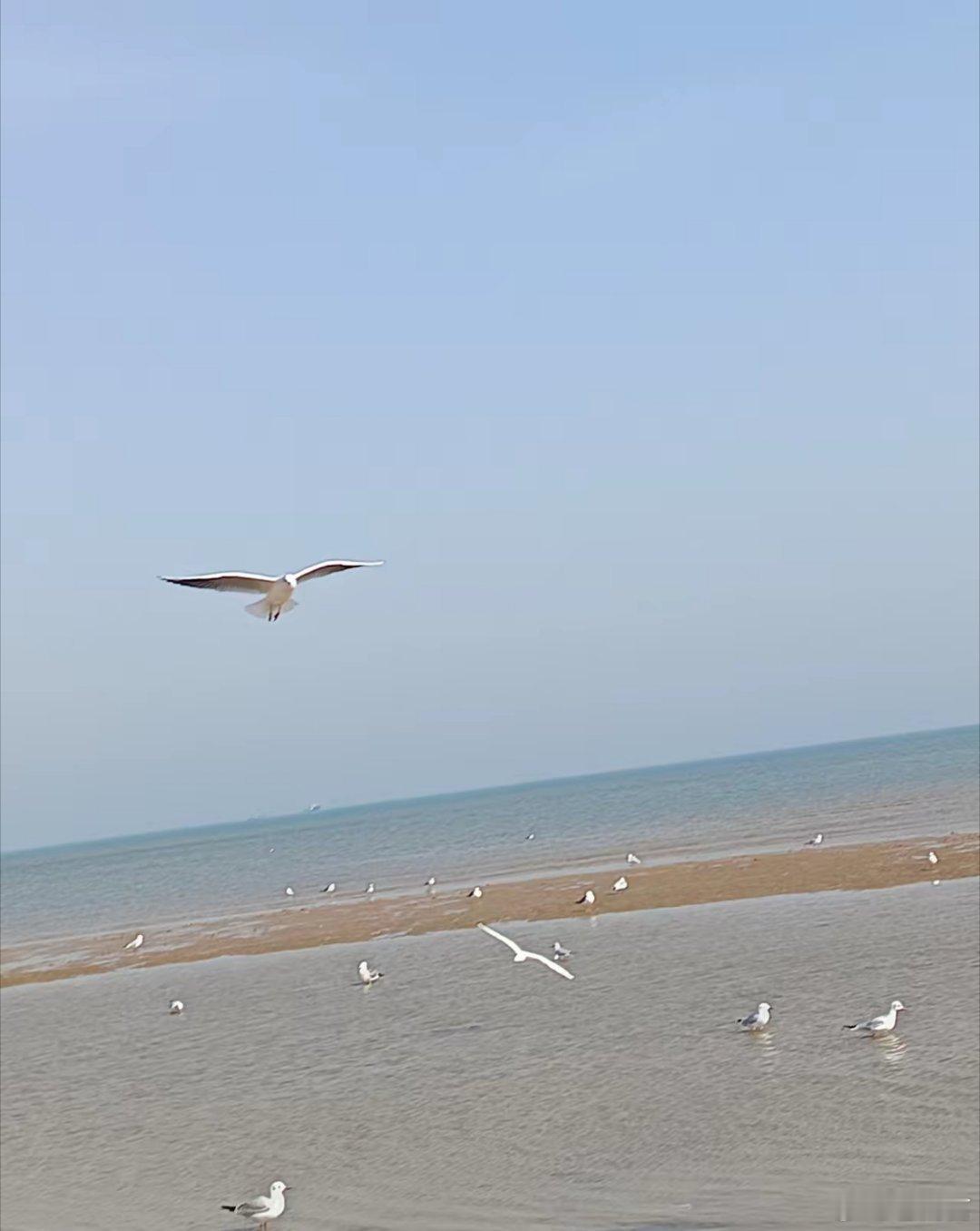 多地宣布生物地理不再计入中考总分我国多地宣布中考地理生物不计入总分数，2027年