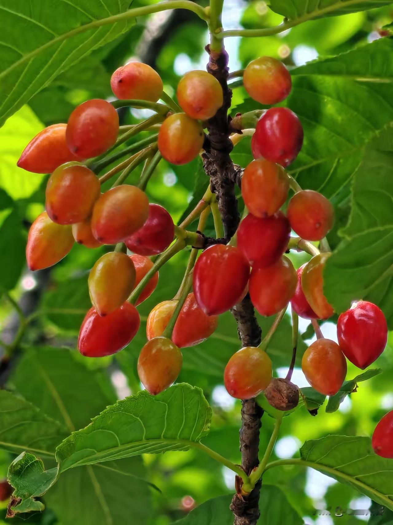 亲家友好相处的智慧
 
一、不越界、不掺和，是相处的第一准则
 
1. 不插手小