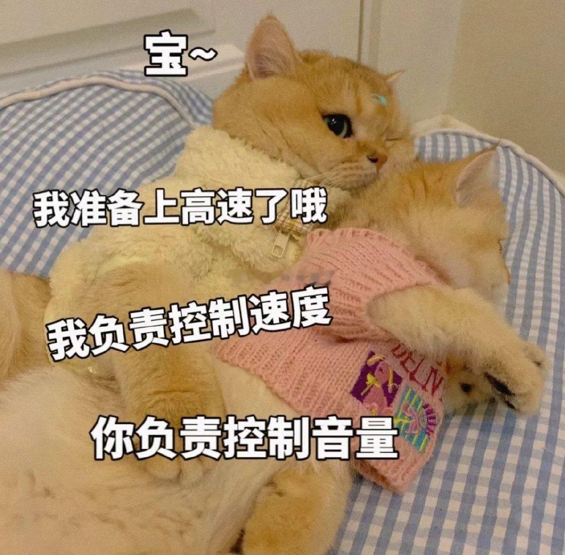 🐺这个心眼子一天天都使我身上了刚躺着玩手机呢，🐺就凑过来🐺：耶耶耶～宝宝玩