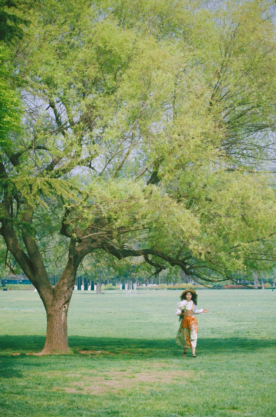 我在青岛上春山🌳森林秘境美哭！走进油画里
