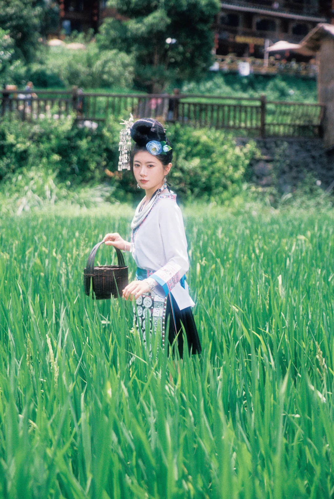 稻田里的一抹亮色，是属于侗族的春日序曲