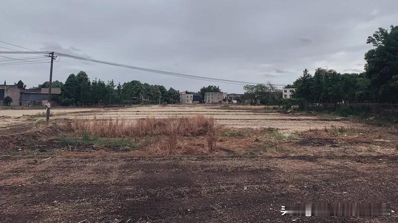 有经济学家建议地方上两年内不要卖地，也是希望通过这种方式来逼着购房者去买新房。
