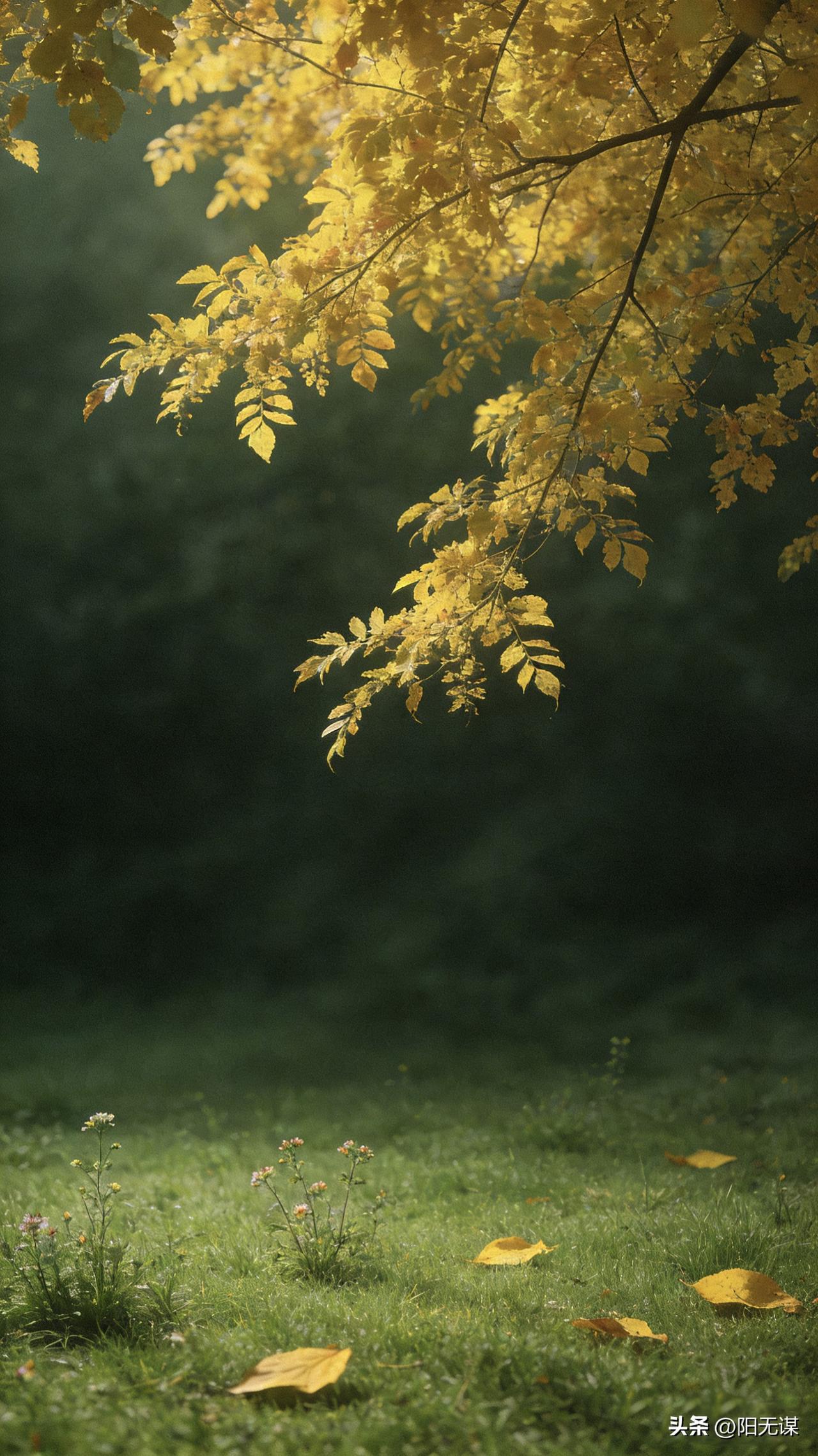 一位退休大夫说：
“查出重大疾病，被告知需要动手术之前，一定不要在当天做出医疗决