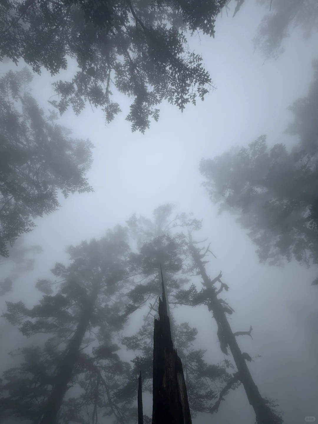 在瓦屋山 想起了在天庭当差的日子