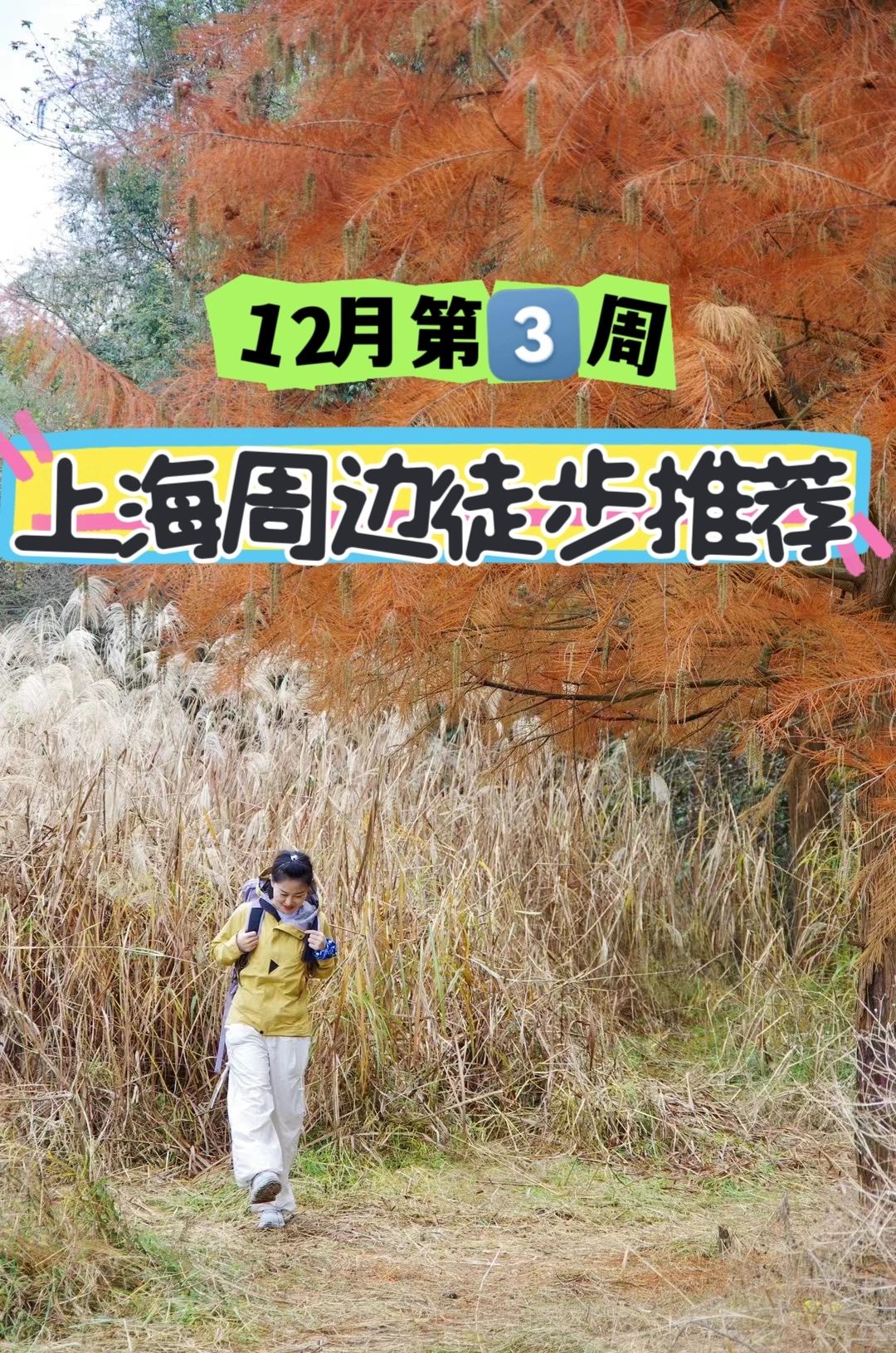 有雪❗️上海周边徒步推荐 12月第3️⃣周