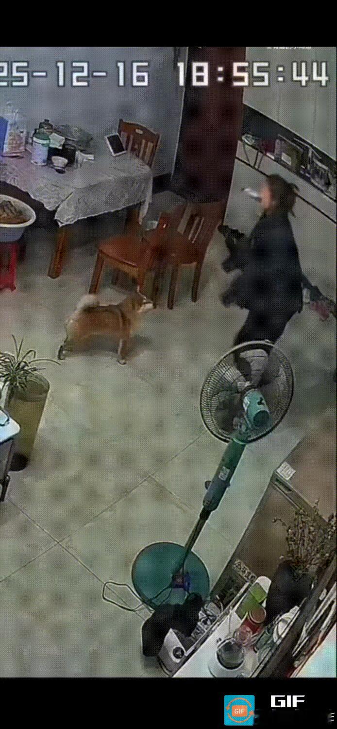 人一旦无聊起来，做出的事情会有多荒唐。
女子突发奇想，打算拍一段抱着爱犬转圈的视