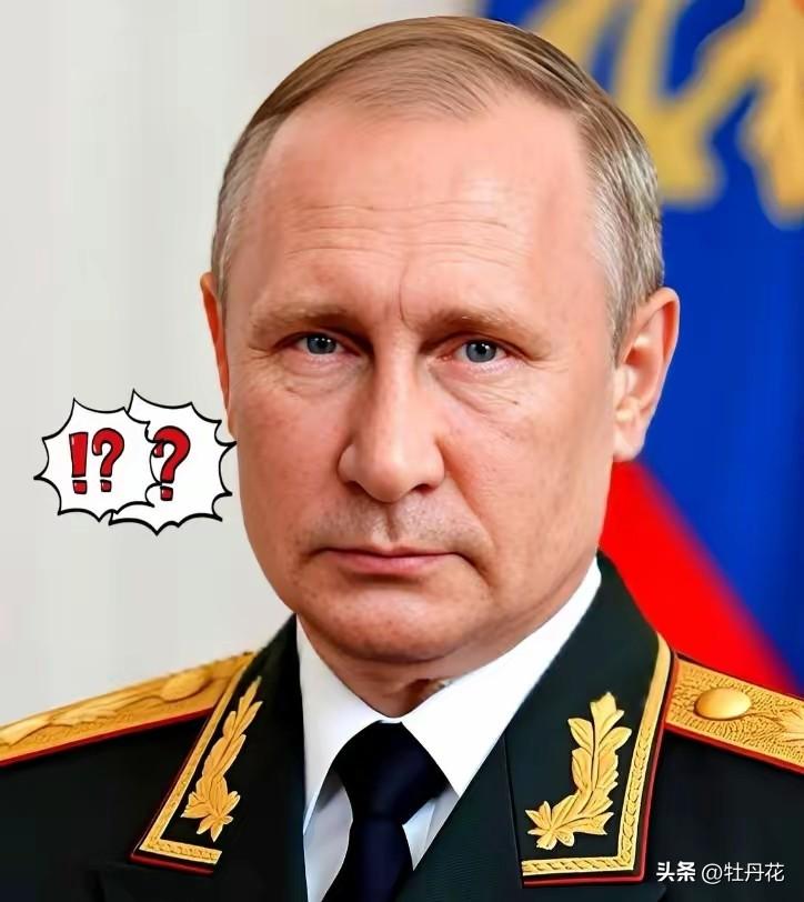 这一巴掌，隔着太平洋都能听见响。老美估计现在脑瓜子还是嗡嗡的。在自己家后院，眼皮