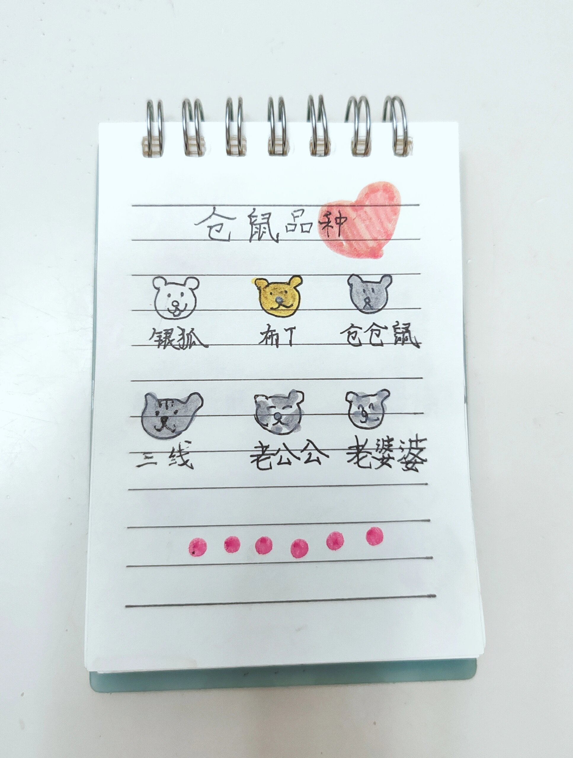 八岁小女孩如何向妈妈证明自己能养一只仓鼠：#龙年造梗大赛# ​​​