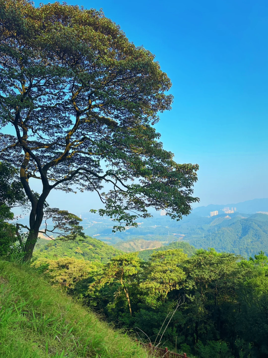 每周一山🏞️疫情下是徒步治愈了我！小众免费