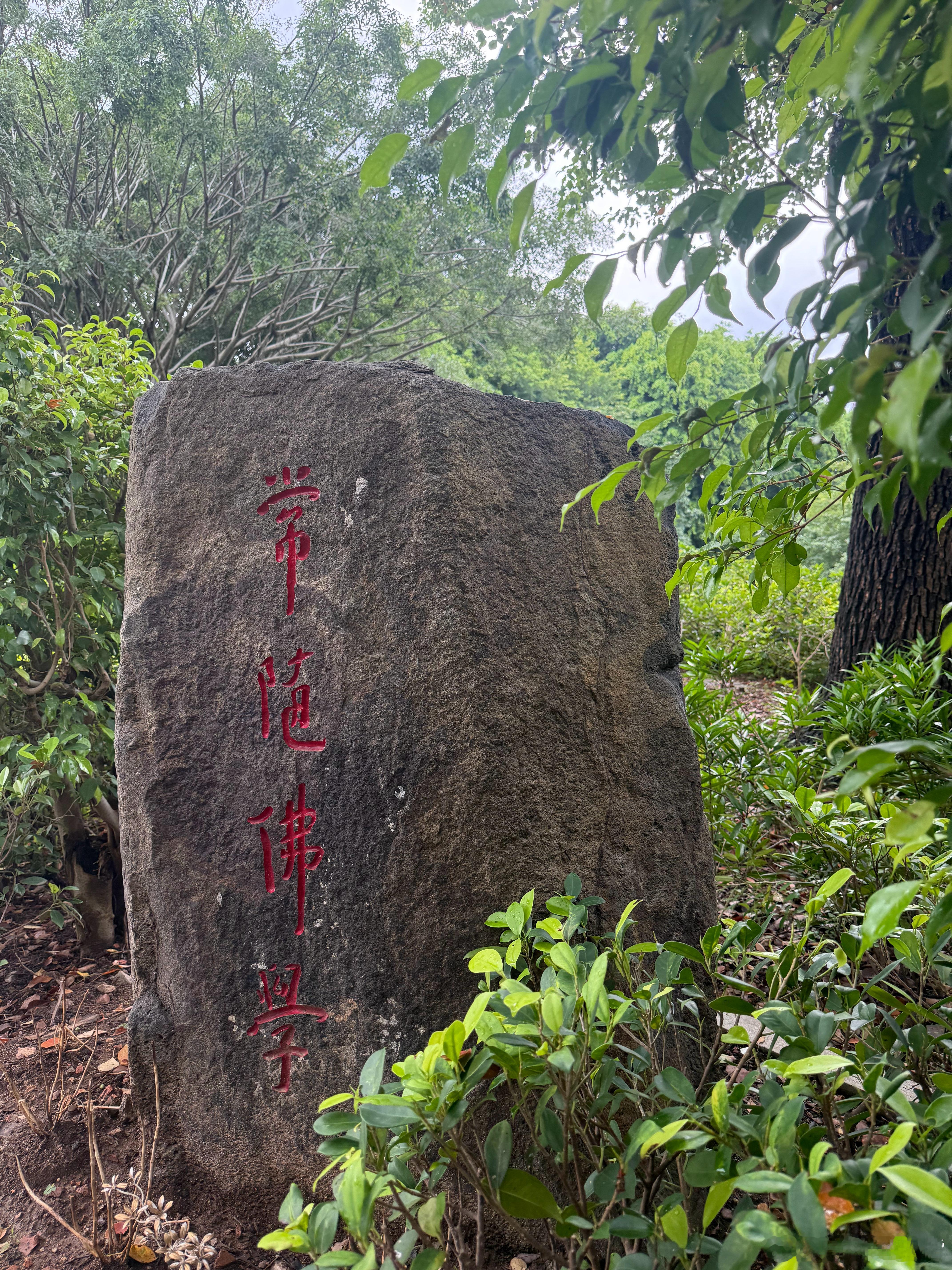 人间百态才明白，生活万般滋味，终究只能自渡，常常在深夜刷到很多人的心声，大家被生