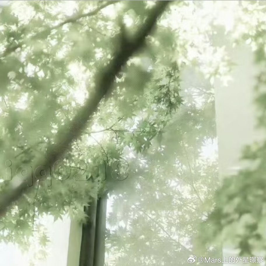 °✩暗闇の中で君のために星火を灯している✧ֺ             我在黑暗里