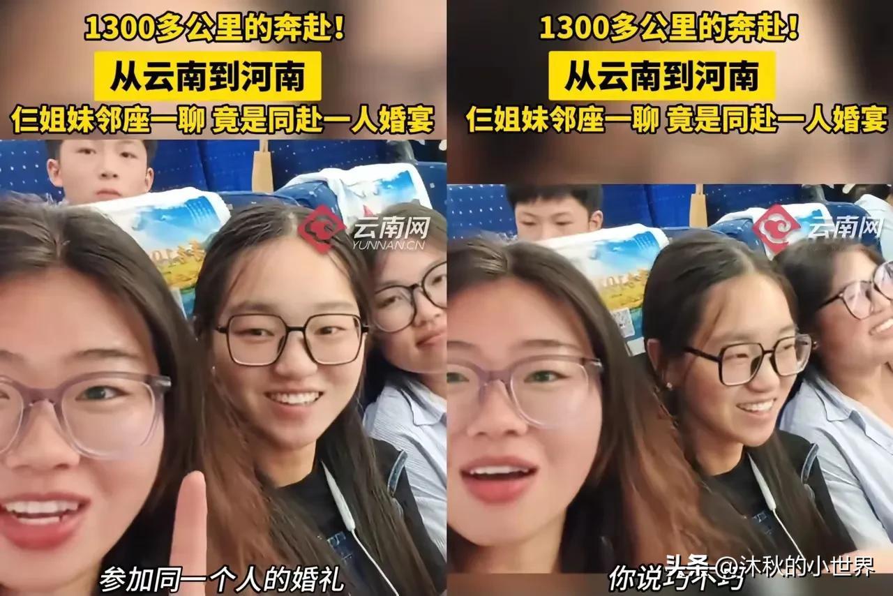 太巧了！高铁邻座三人竟参加同一人婚礼

高铁上，三个邻座的女孩目的地竟然都是河南