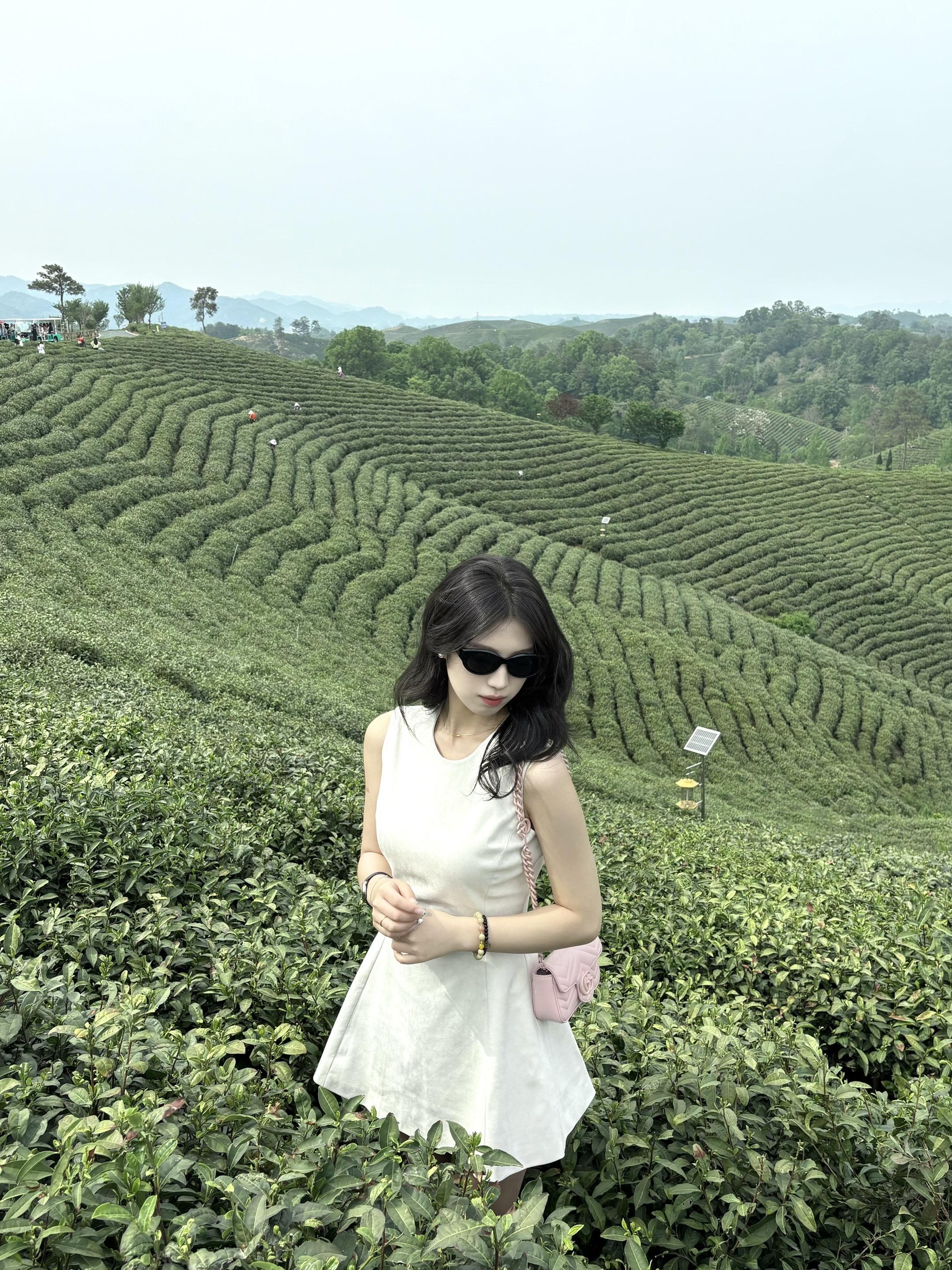 我要将向往的地方 都变成走过的路