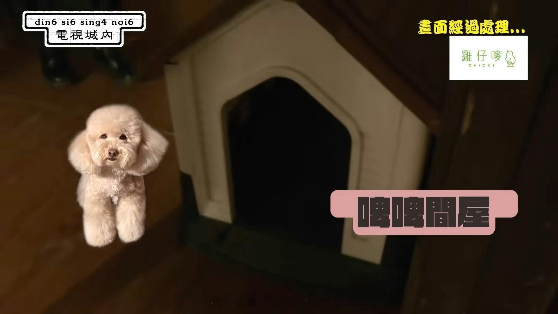 樊亦敏曝光《爱回家》厂景禁地 后楼梯藏玄机 更揭刘丹有专属待遇《爱·回家之开心速