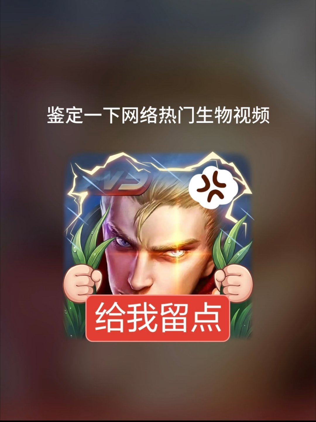 王者荣耀我的王者纪念册王者许愿好运一夏王者荣耀游戏百科 鉴定王者农场热门作物无穷