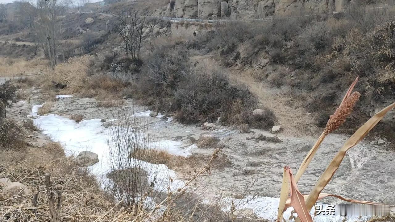 车爬到了山顶，高处不胜寒，我看到了那块高高的纪念碑，我向它走去，突然，枯草丛中“