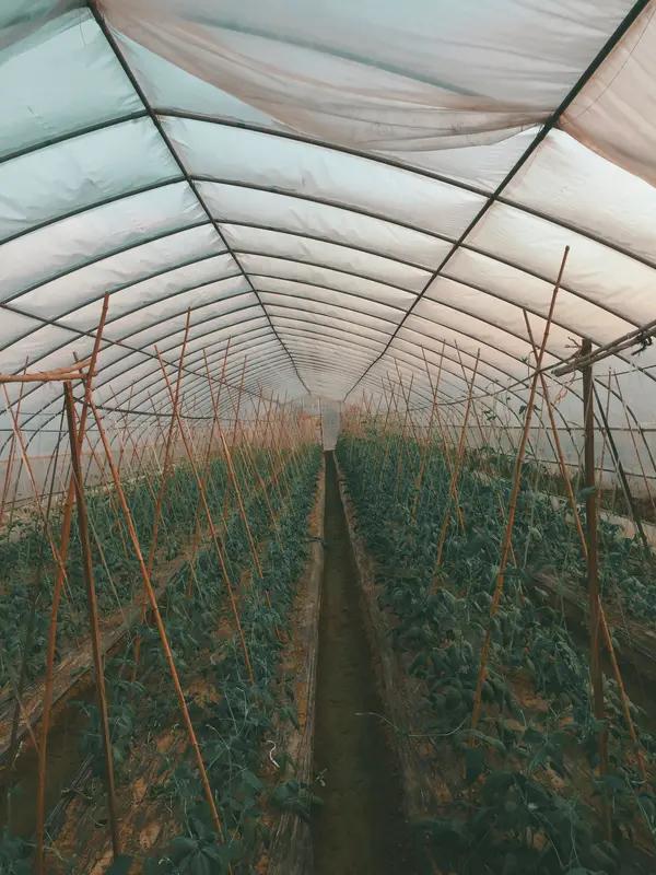 家人们，跟你们说个事儿。我老公家外甥前年盖蔬菜大棚，找我们借了8万。昨天外甥来还