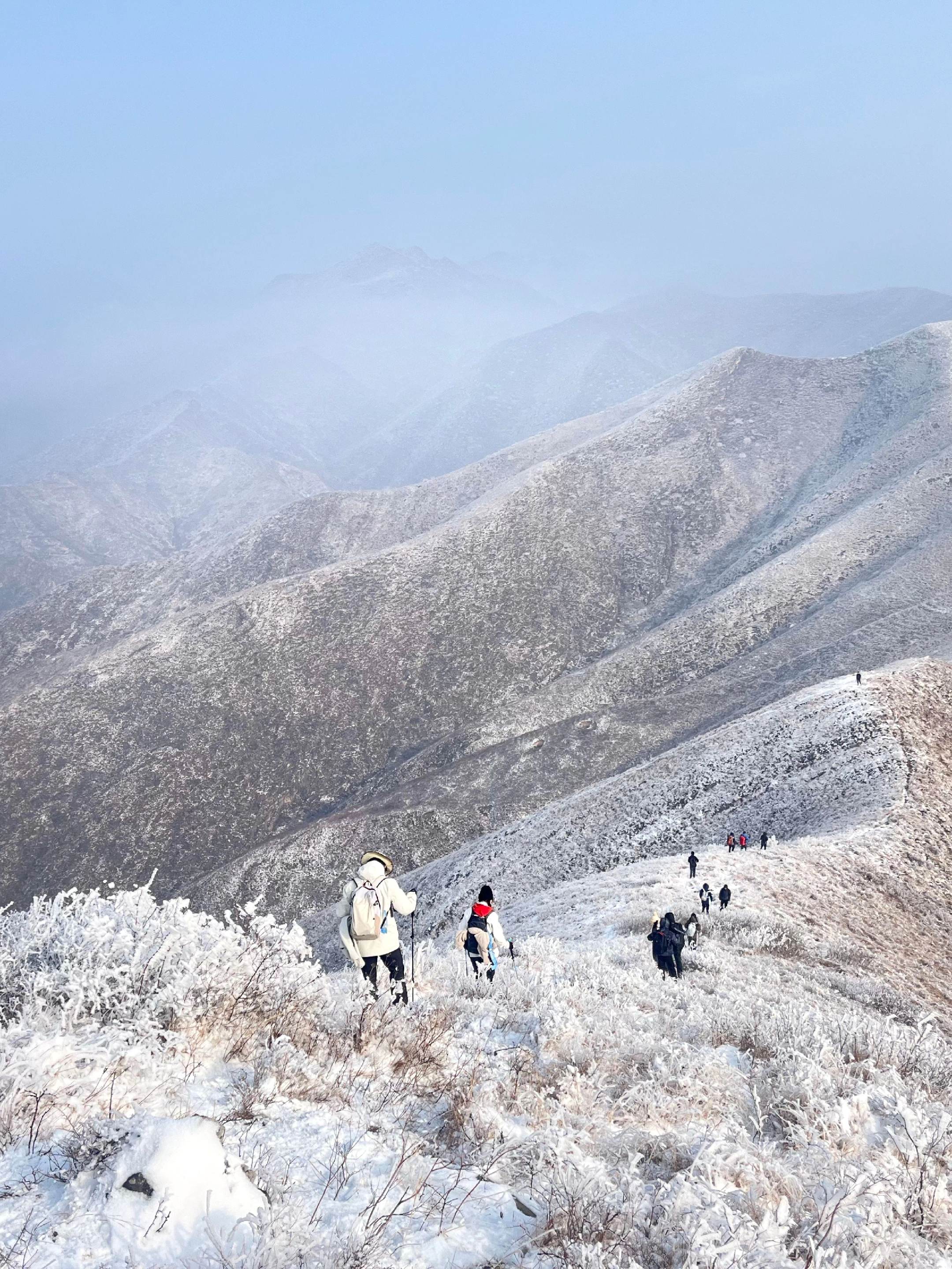 不是贡嘎去不起🏔️而是北仲山更有性价比。不用挤秦岭，这里藏着冬日限定...