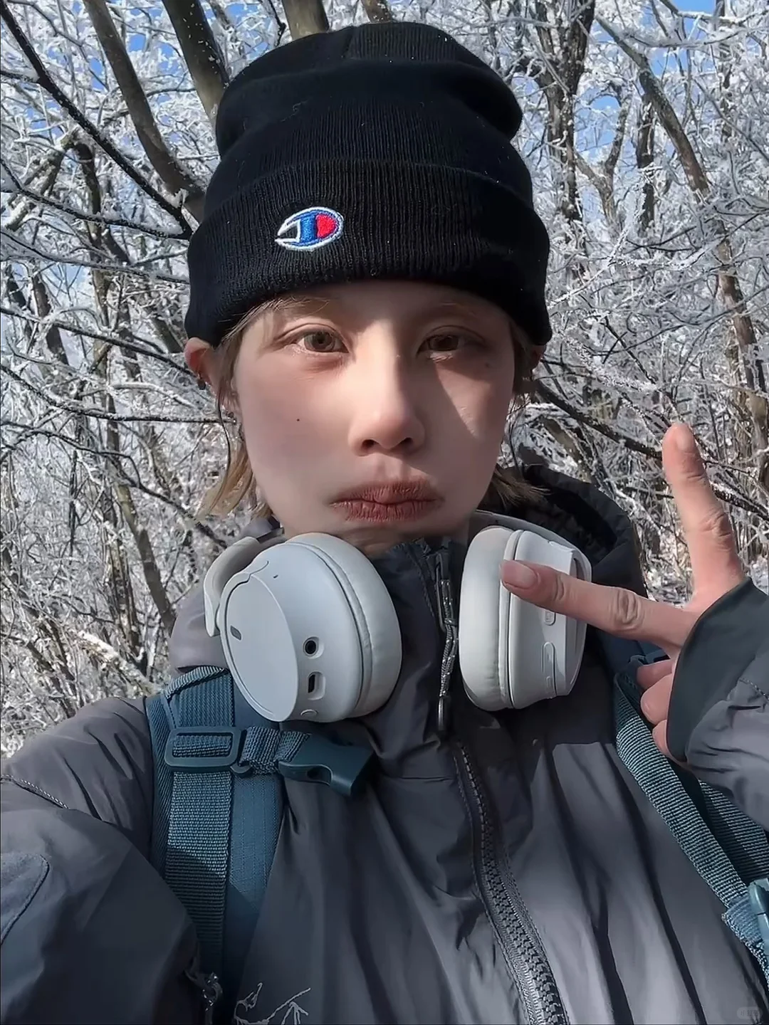 14号的龙王山