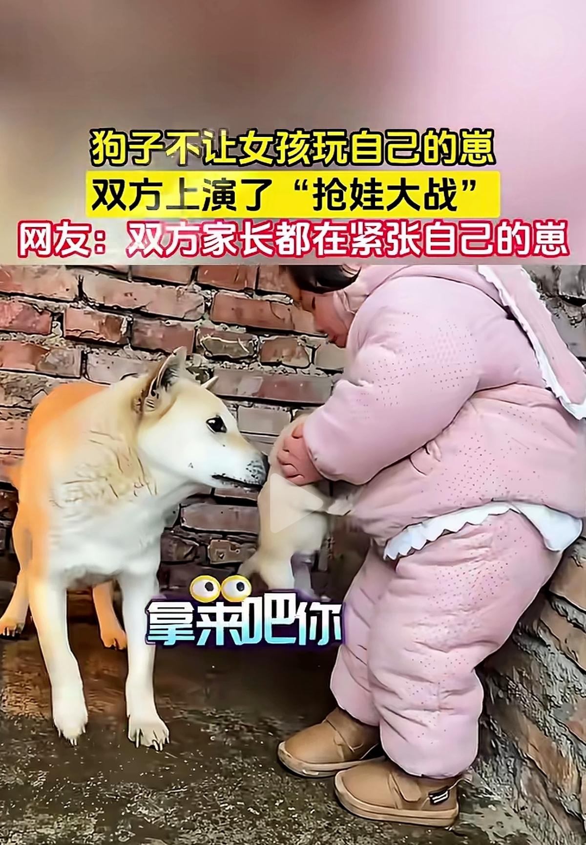 狗狗不让女孩碰宝宝，这不是凶，是刻在骨子里的母爱！
 
        千万别怪