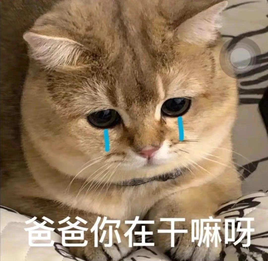 大吉胡咧咧 挟恩不图报50好在枣康不是个会沉溺坏情绪的人，天知道他要是担不住事，