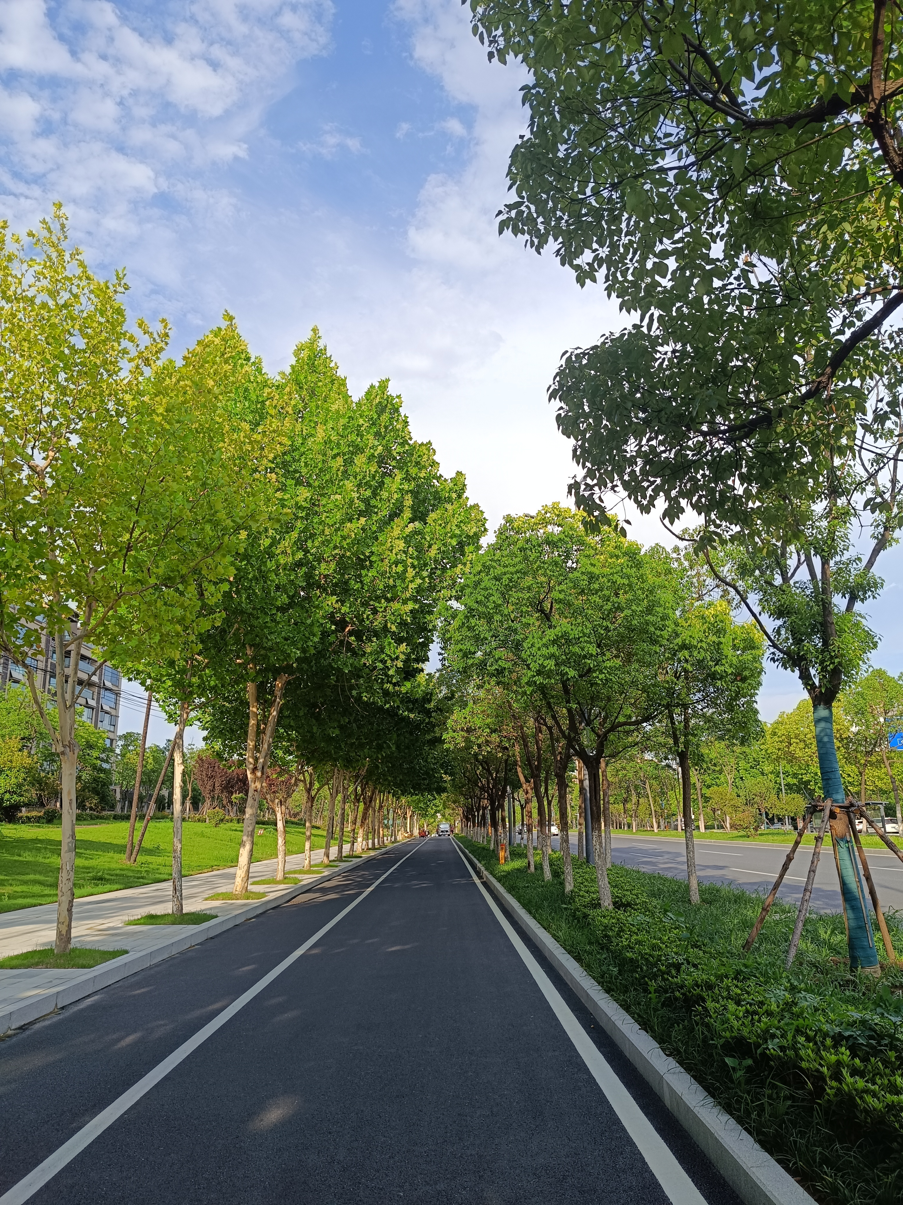 为什么是合肥呢？除了因为资本市场的存储科技让我每天眼红，还因为合肥给我发过稿费。
