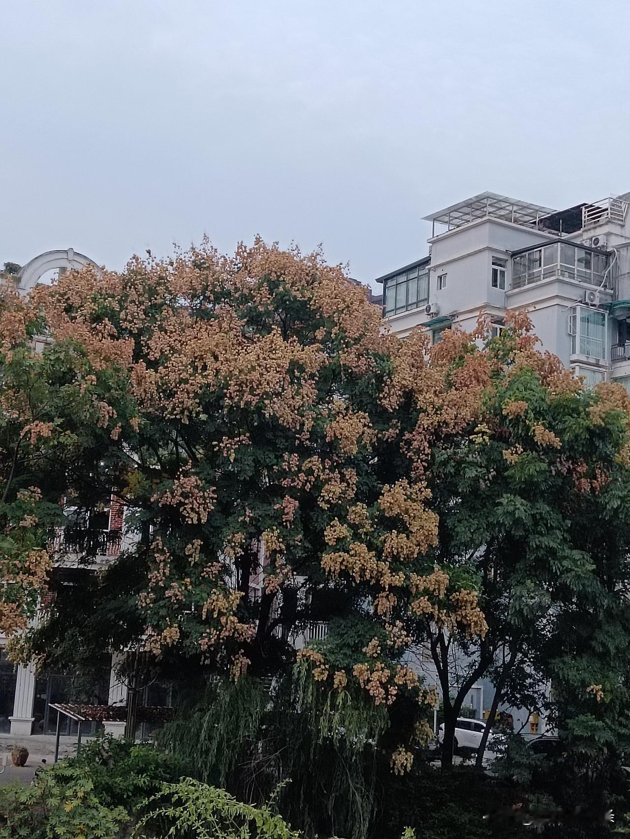 "财不外露" 吗？我认为认可。
@豆包 帮我点评