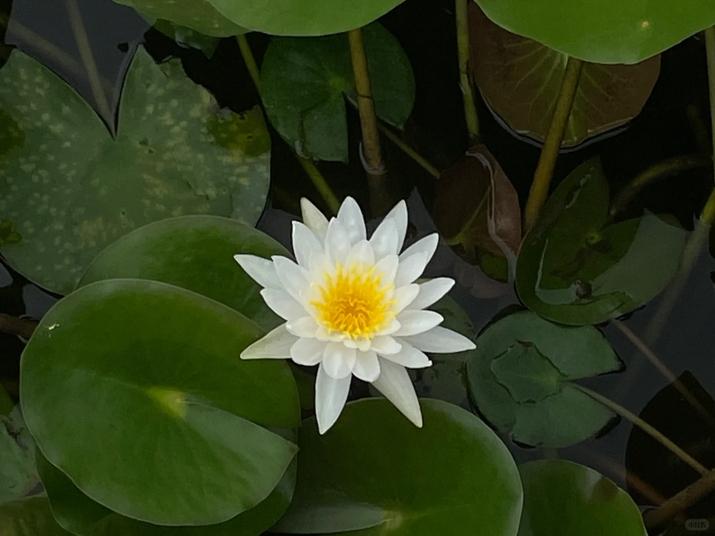 我发现，有些人接受不了自己差劲。