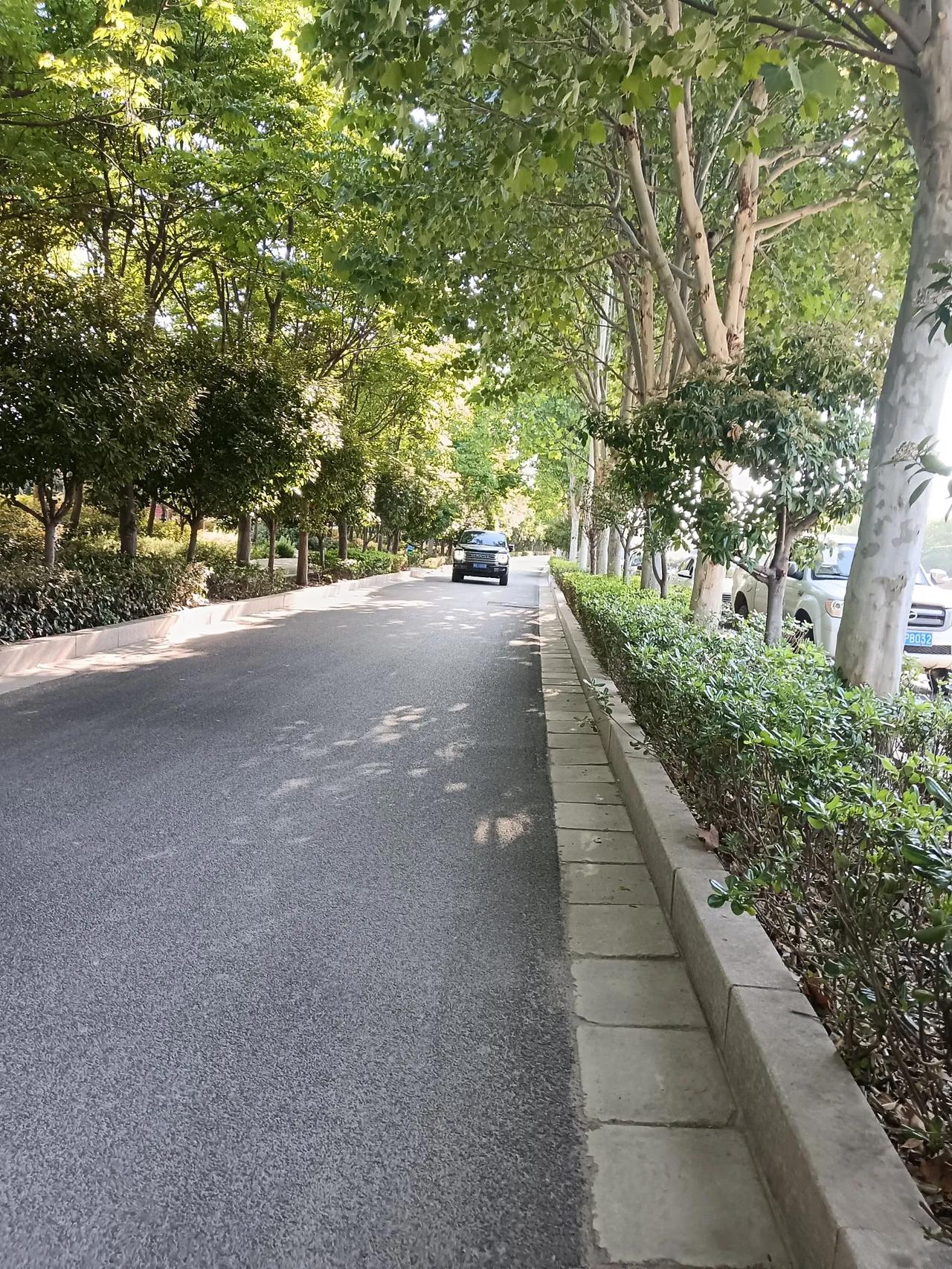 记录身边的风景(商丘市)