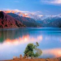 五一冲新疆！深度体验慢游攻略
 
终于下定决心今年五一冲新疆！看美团数据就知道，