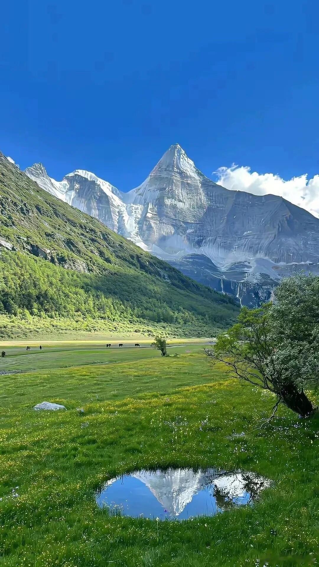 手机壁纸 | 高质量ins高级感 | 高清无水印 | 每日桌面 |  清新 | 