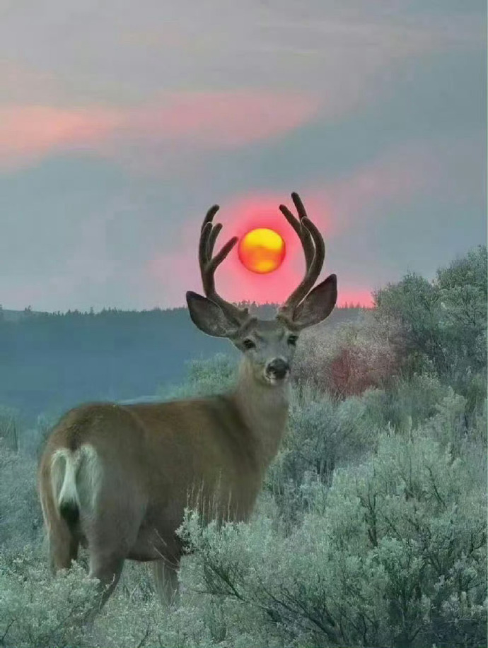 你的劫已经渡完，接下去会一顺百顺！ ！！！ 