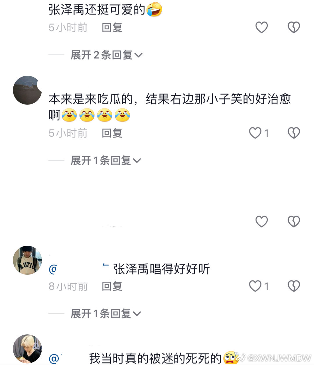 不管是meyou刀马旦还是冷风吹，一直都是张泽禹一个人的胜利 张泽禹一路向海的少
