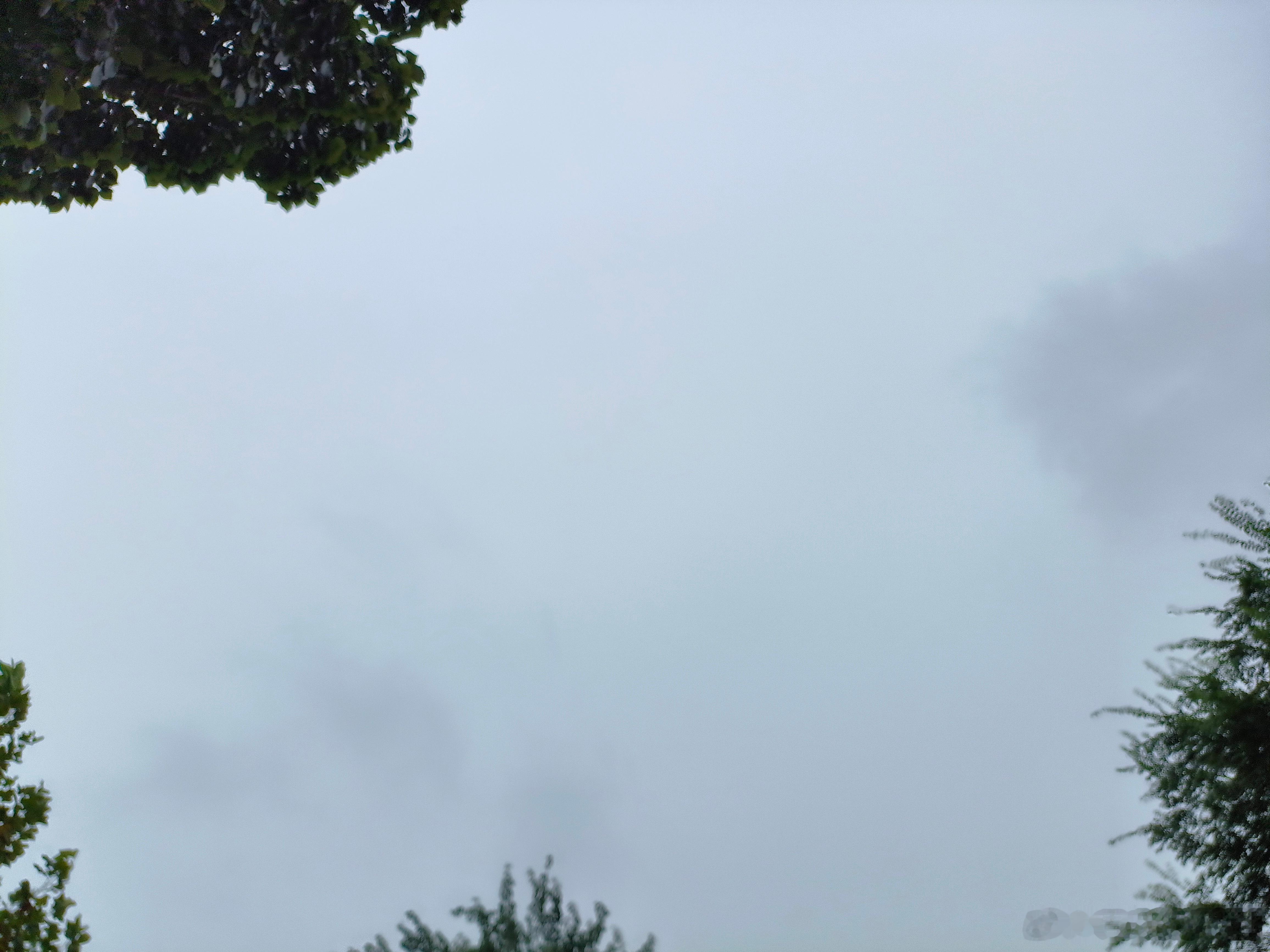 又是一个灰蒙蒙的阴天，刚才还下了一阵小雨，不过现在已经起风，似乎有把云吹散的意味