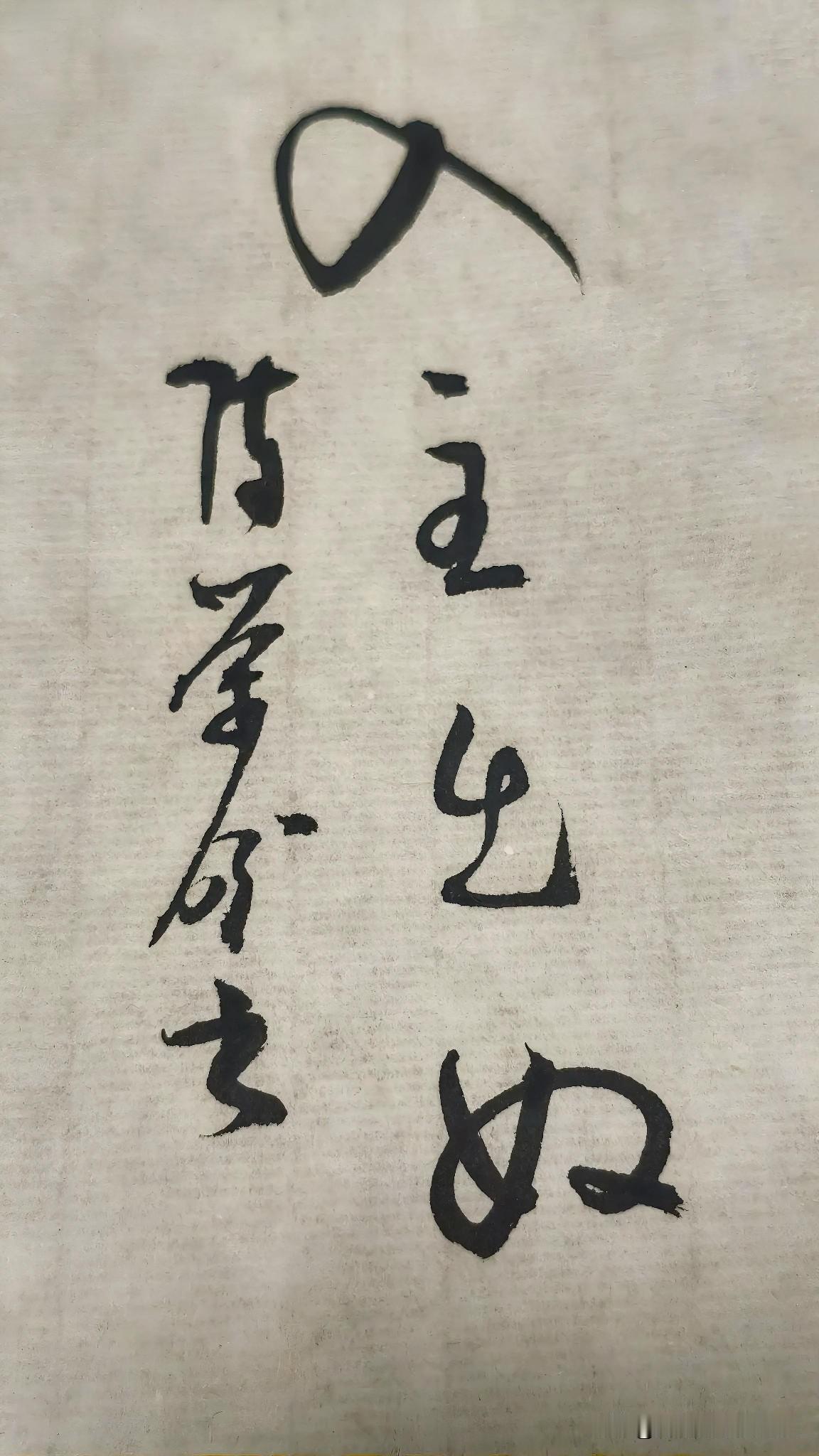 草书精品展示：入主出奴