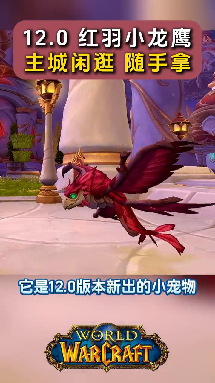 12.0红羽小龙鹰，主城闲逛随手拿。
快看，这只樱桃红的小龙鹰是不是很漂亮？它是